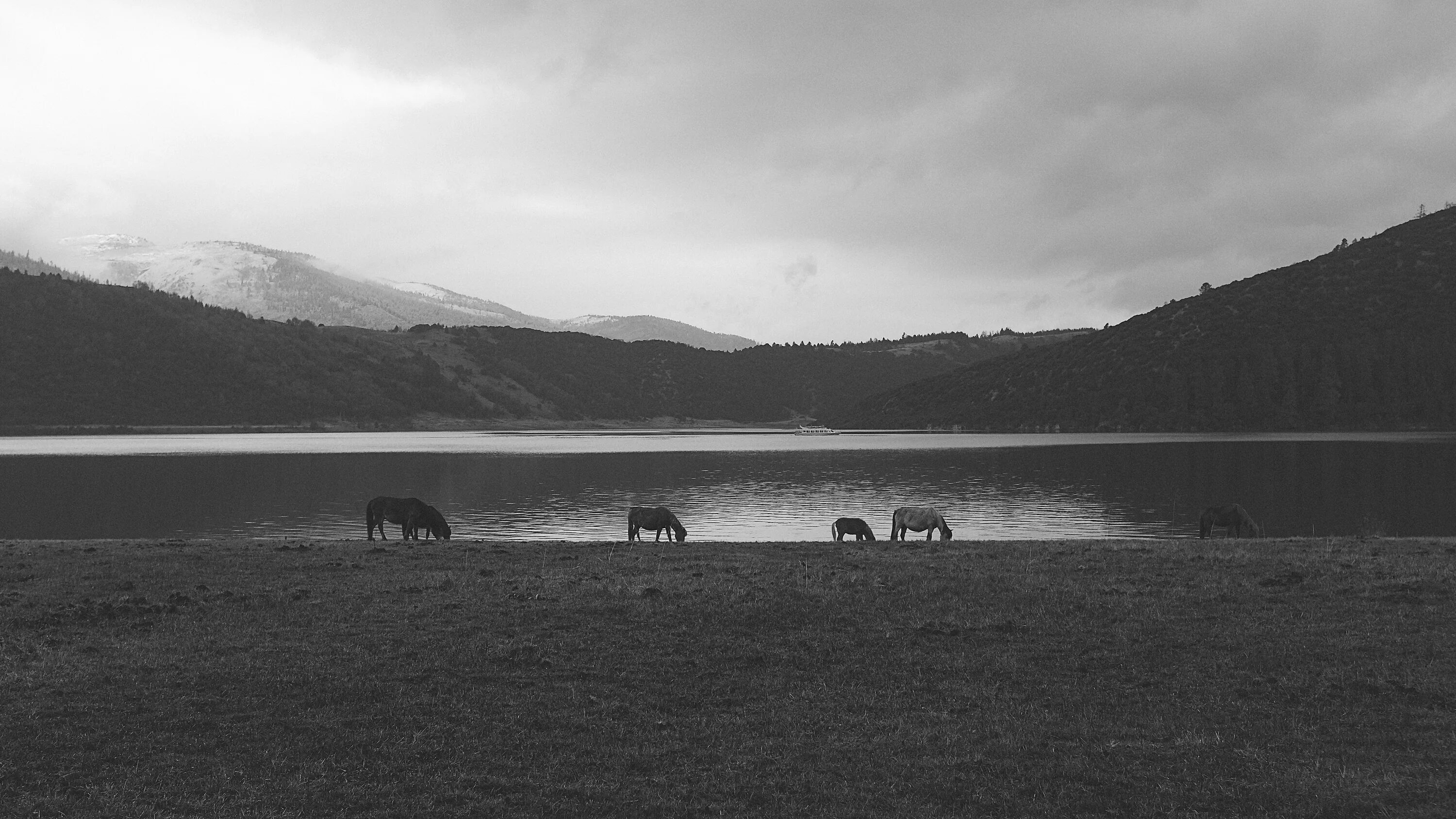 Черном и белом озерах. Озеро черно белое. Скандинавия черно-белый. Озеро верховое. Чёрно-белые фотографии природы.