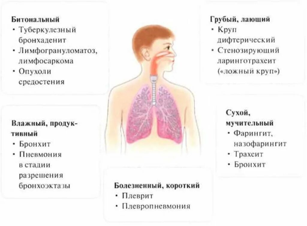 Дыхание при сильном кашле. Заболевания органов дыхания трахеит. Воспаление дыхательного горла.