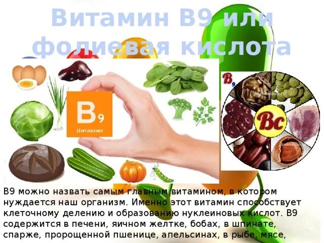 Фолиевая кислота витамин. Фолиевая кислота в продуктах. Продукты богатые фолиевой кислотой. Фолиевая кислота витамин в9.