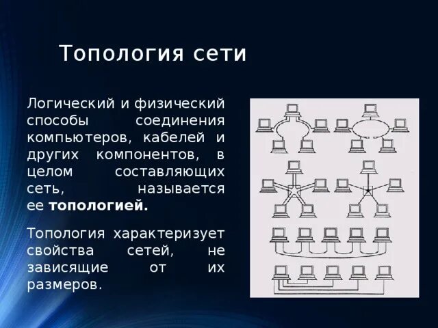 Логическая топология сети. Физическая и логическая топология. Топология шина. Основные топологии сетей.