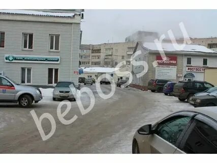 Барс на чайковского тверь