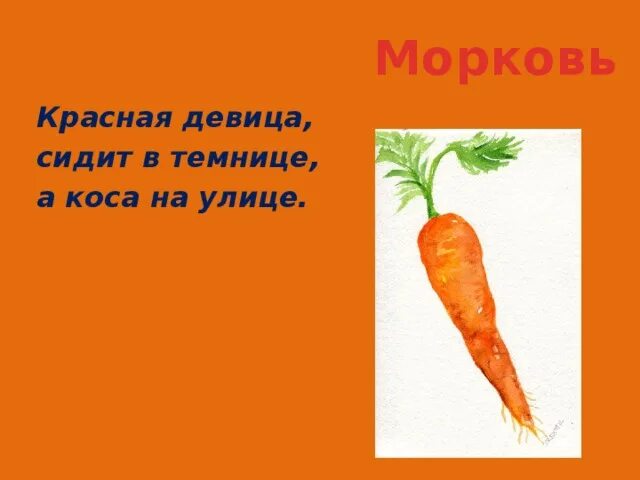 Сидит девица в темнице коса на улице. Красная девица в темнице а коса на улице. темница красная сидеть в коса улица девица на а морковь. сидит девица в темнице а коса. загадка сидит девица в темнице а коса.