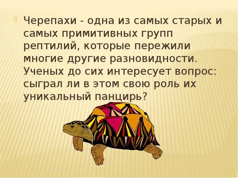 Текст про черепаху. Интересные факты о черепахах. Интересные черепахи. Интересное о черепахах для детей. Интеремноео чеоепахах.