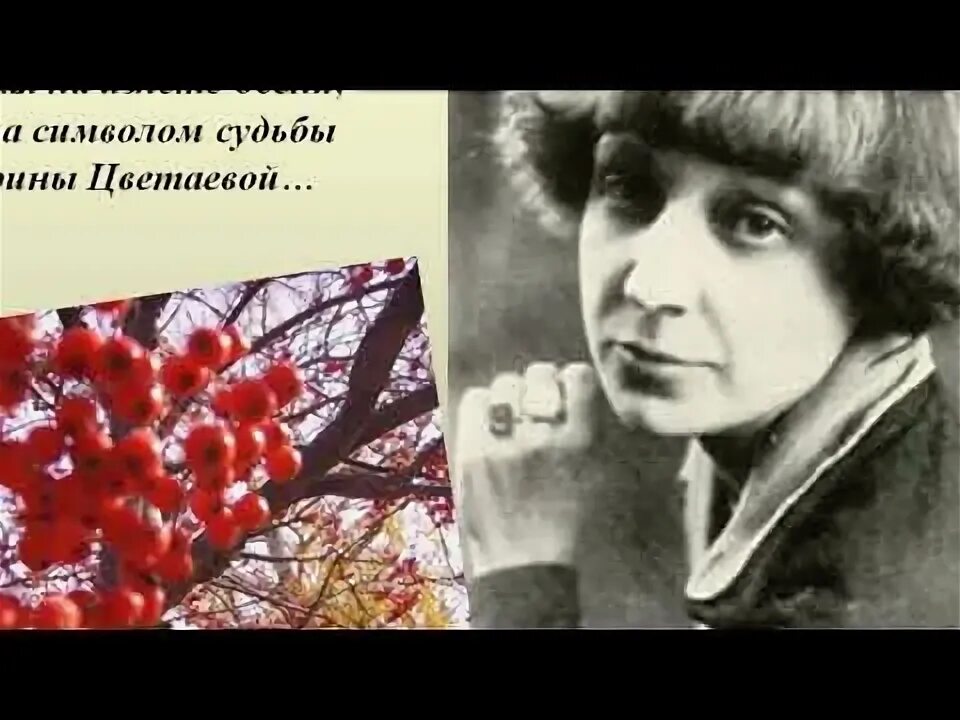 Цвет цветаева. Цвет цветаева