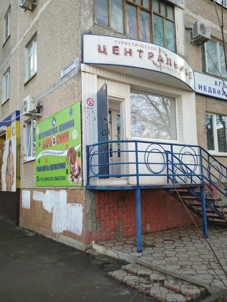 барбоскины ветлечебница. коряжма ветеринарная клиника барбоскин. визитка ветеринарной клиники. ветеринарная клиника на улице металлургов. барбоскины ветлечебница.