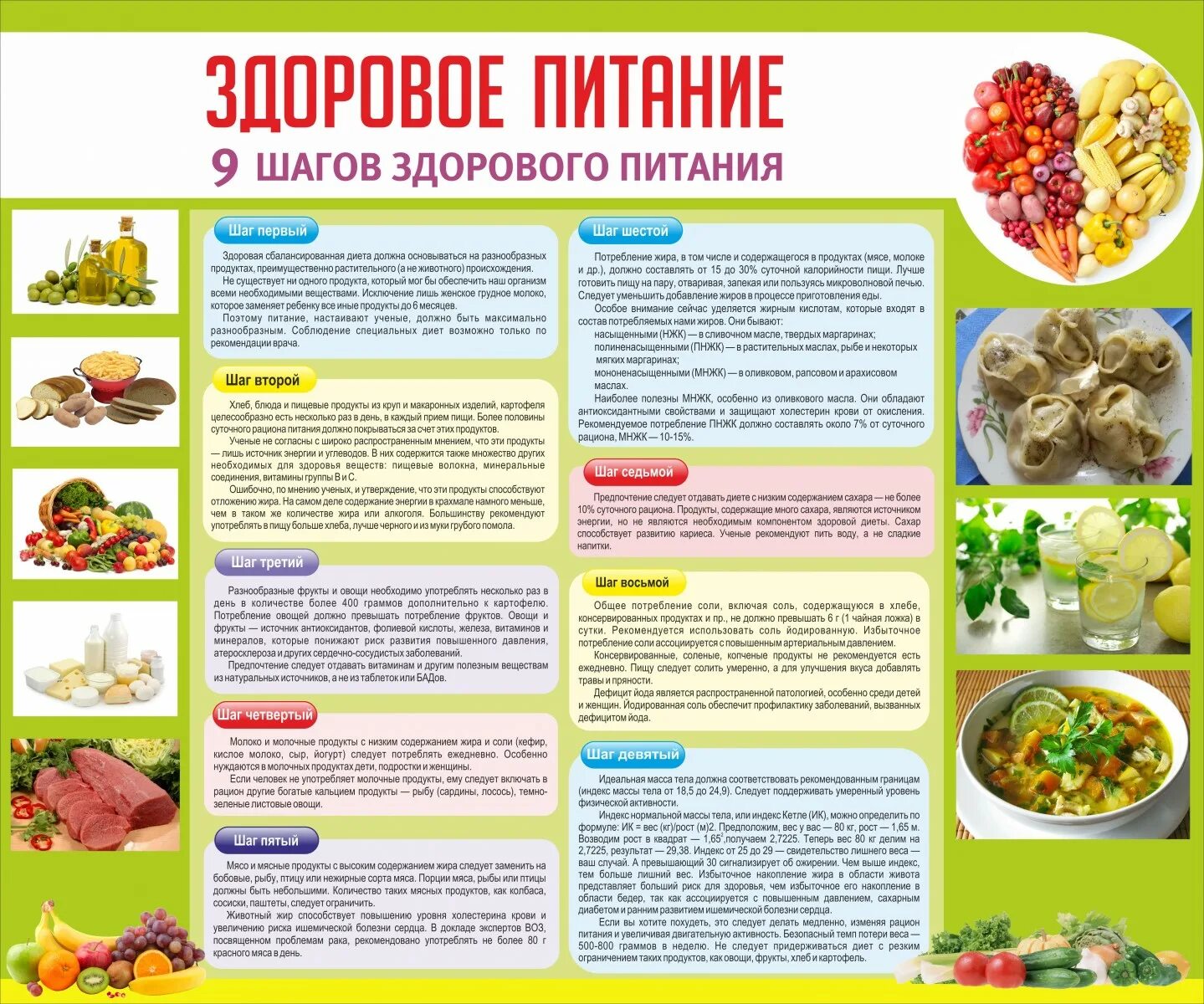 Кроссоврдздоровое питание. Ответы на вопросы по основам здорового питания. Ответы на вопросы по основам здорового питания. Ответы на вопросы по основам здорового питания. Основы здорового питания школьника.