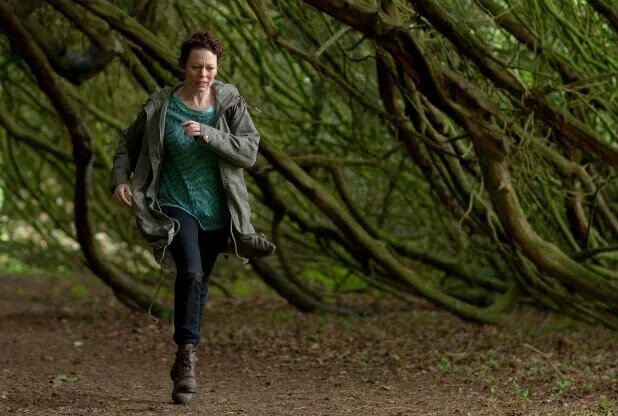 сказочный 13