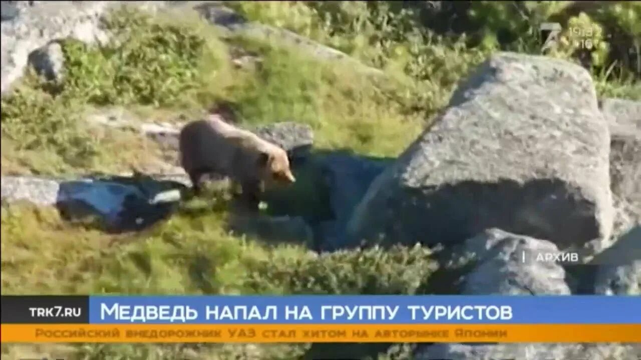 Нападения на туристов. Нападение медведя в Ергаках. Ергаки нападение медведя. Нападение медведя на туристов. Природный парк Ергаки нападение медведя.