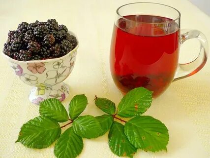 Листья малины для чая польза
