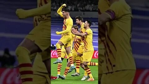 Barsa real jonli