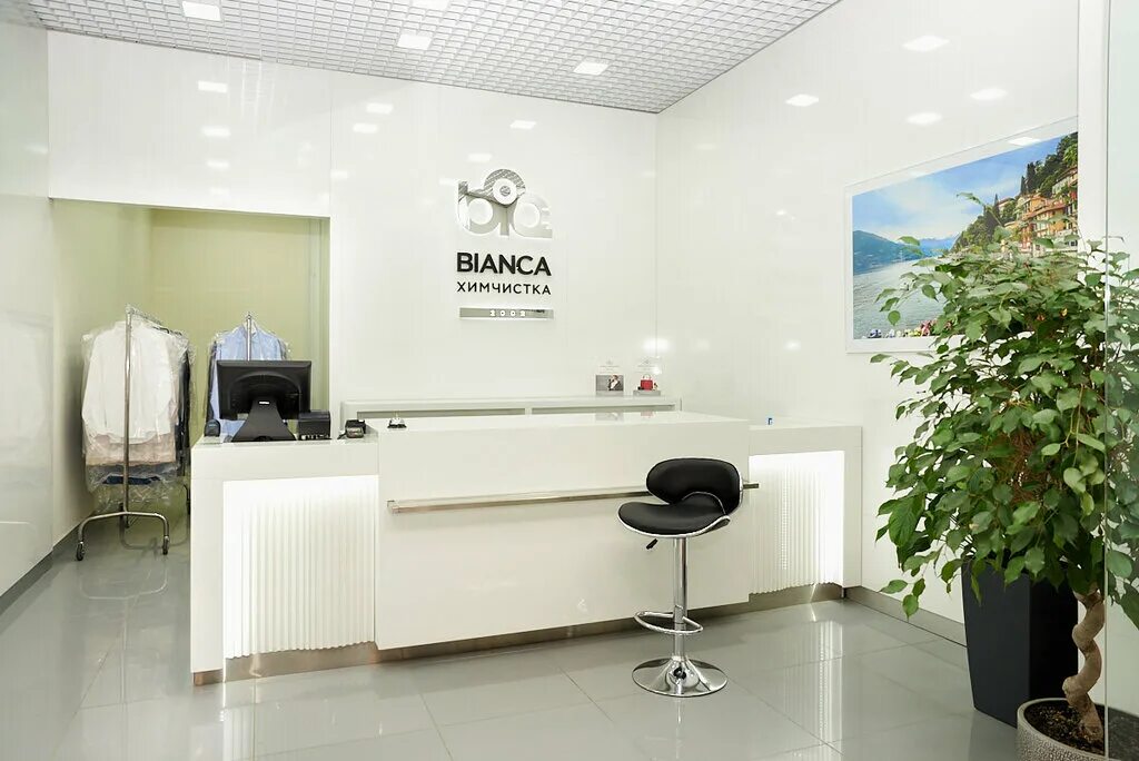 химчистка бьянка. рейтинг химчисток в москве. рейтинг химчисток в москве. еврохимчистка москва. химчистка лисичка логотип.