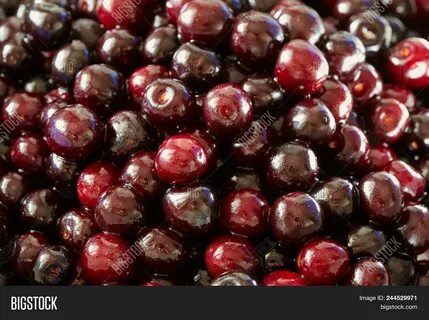 Горькая вишня