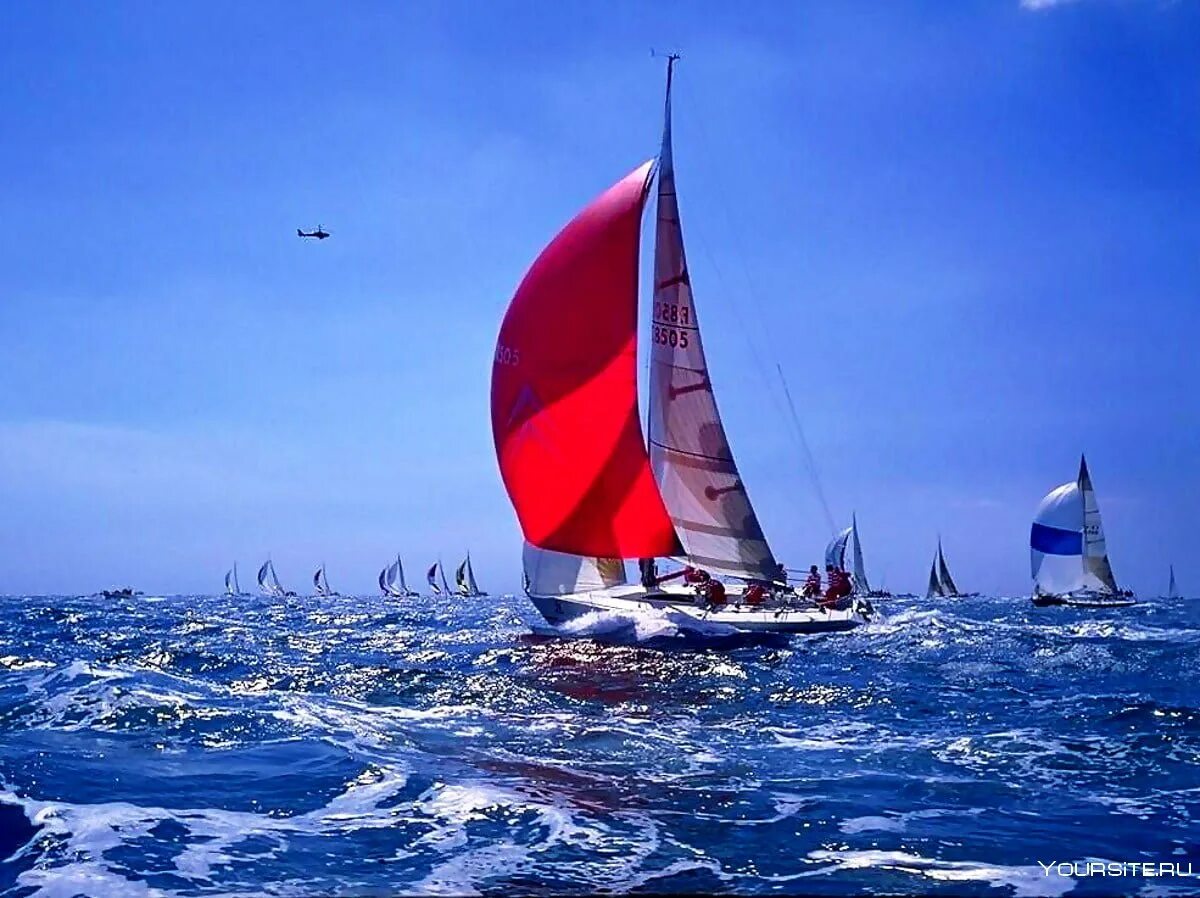 Парусная яхта финикия. Тим томпсон маринист. Яхта регата. Парус на лодке. Парусник в море шторм.