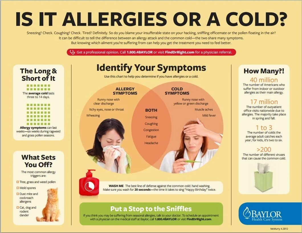 Health advice. Аллергия инфографика. Symptoms Health Cold. Seasonal Allergy infographic.