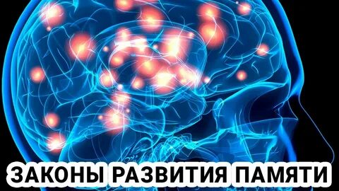 Эффективный мозг