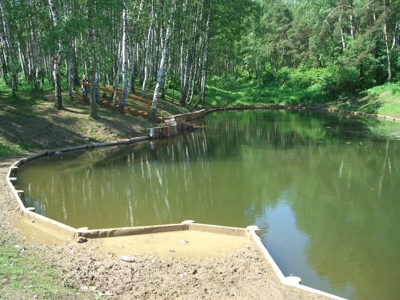 Подошел к запруде. Алтуфьевская речка самотёка. Река самотека Алтуфьево. Река самотёка в Москве. Пруд и запруда.