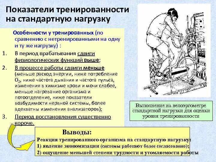 Нагрузку при выполнении. Физиологические показатели нагрузки. реакция организма на нагрузку. стандартная нагрузка. показатель реакции организма на физическую нагрузку.
