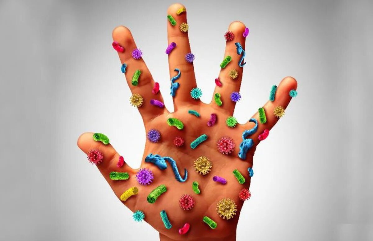 какие микробы на руках