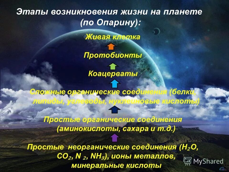 Тест по теме возникновения жизни на земле. Этапы возникновения жизни на земле. Появление жизни на планете. Теории развития жизни. Концепции возникновения жизни на земле.