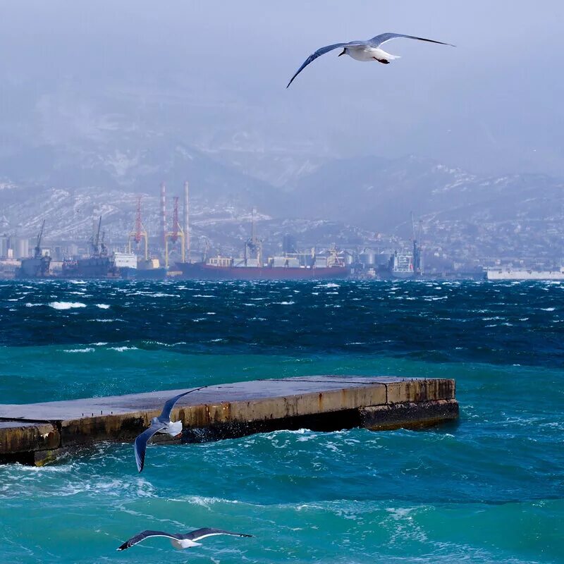 Черное море Новороссийск. Новороссийское море. Пейзажи Новороссийска. Новороссийск море фото. Новороссийск novorossiysk море