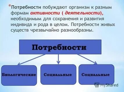 Всем живым существам присущи потребности верно