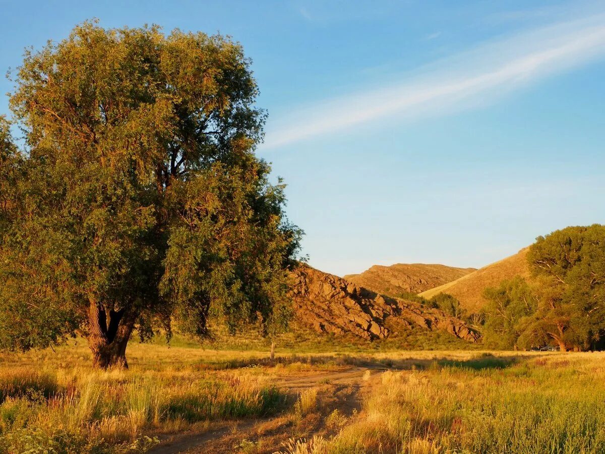 справочник телефонов оренбургской области. телефонный справочник оренбурга. отдел образования номер телефона. телефонный справочник оренбургская область.