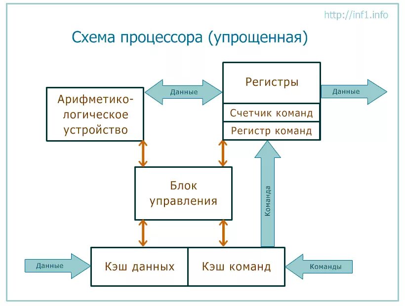 Ядро блока составили страны. Устройство процессора схема. Структурная схема процессора. Блок схема устройства процессора. Схема простого процессора.