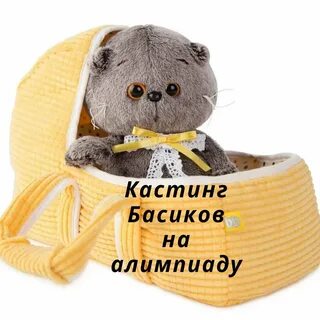 Размеры басиков