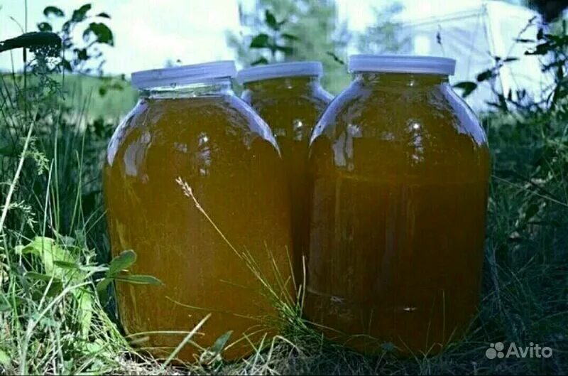 Хреновуха из самогона. Огурцы с лимонкой на зиму. Самогон с хреном. Хрен на 3 литровую банку. Хрен на 3 литровую банку.