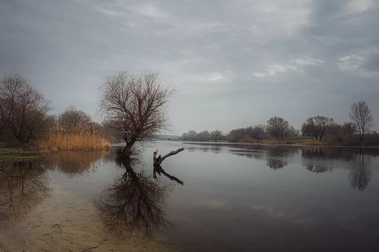 Река пасмурная. Пасмурная река. Река пасмурная. Речка в пасмурную погоду. Пасмурный день у речки.