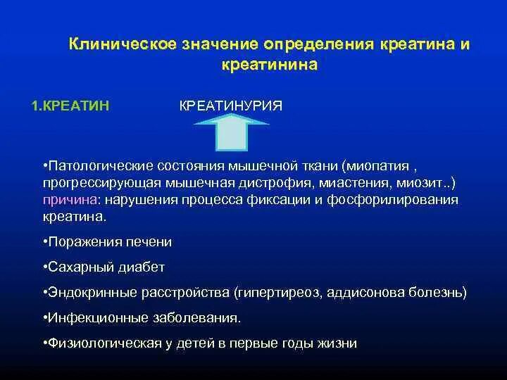 Аминогликозиды презентация. Невынашивание беременности. Клинико диагностическое определение ферментов крови. Клинически важную. Клинически важную.