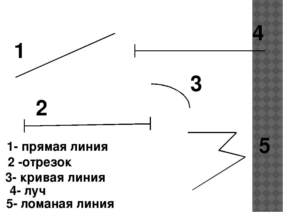 Соединяет две точки кривой