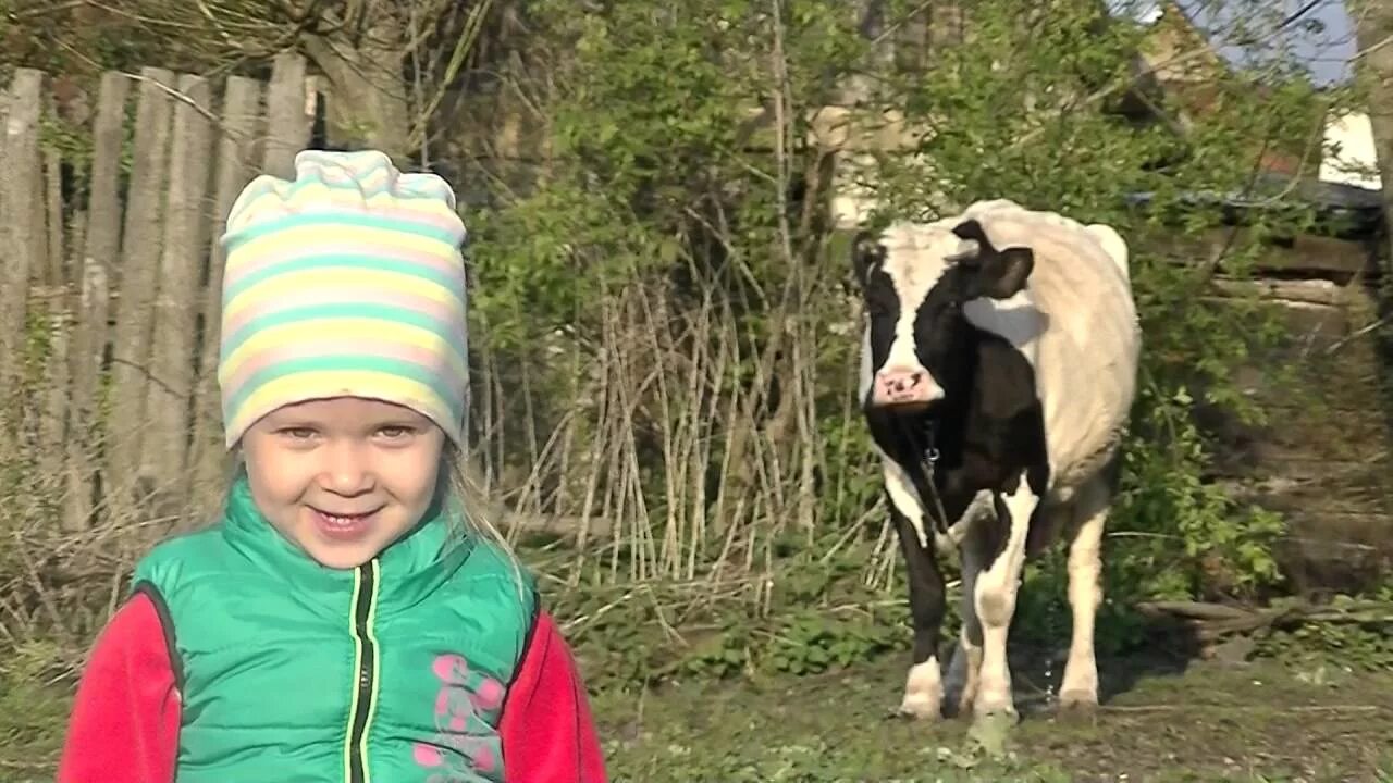 Поедем к бабушке в деревню. Корова и кошка. к бабушке в деревню отвезли на лето песня. к бабушке в деревню отвезли на лето песня видео. к бабушке в деревню отвезли на лето даже не спросили а хочу я это.