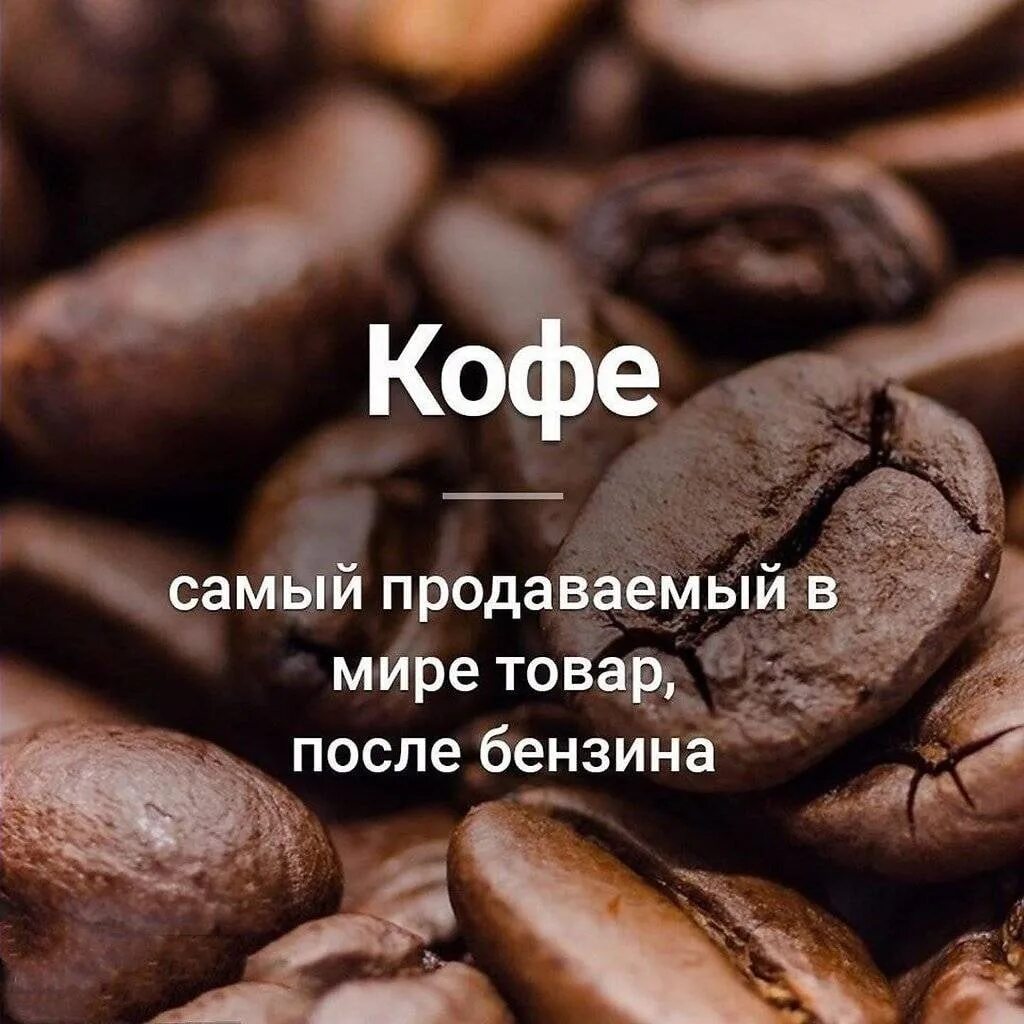 Как называлась раньше кофе. Кофе. интересные факты о кофе. интересное про кофе. интересные посты про кофе.