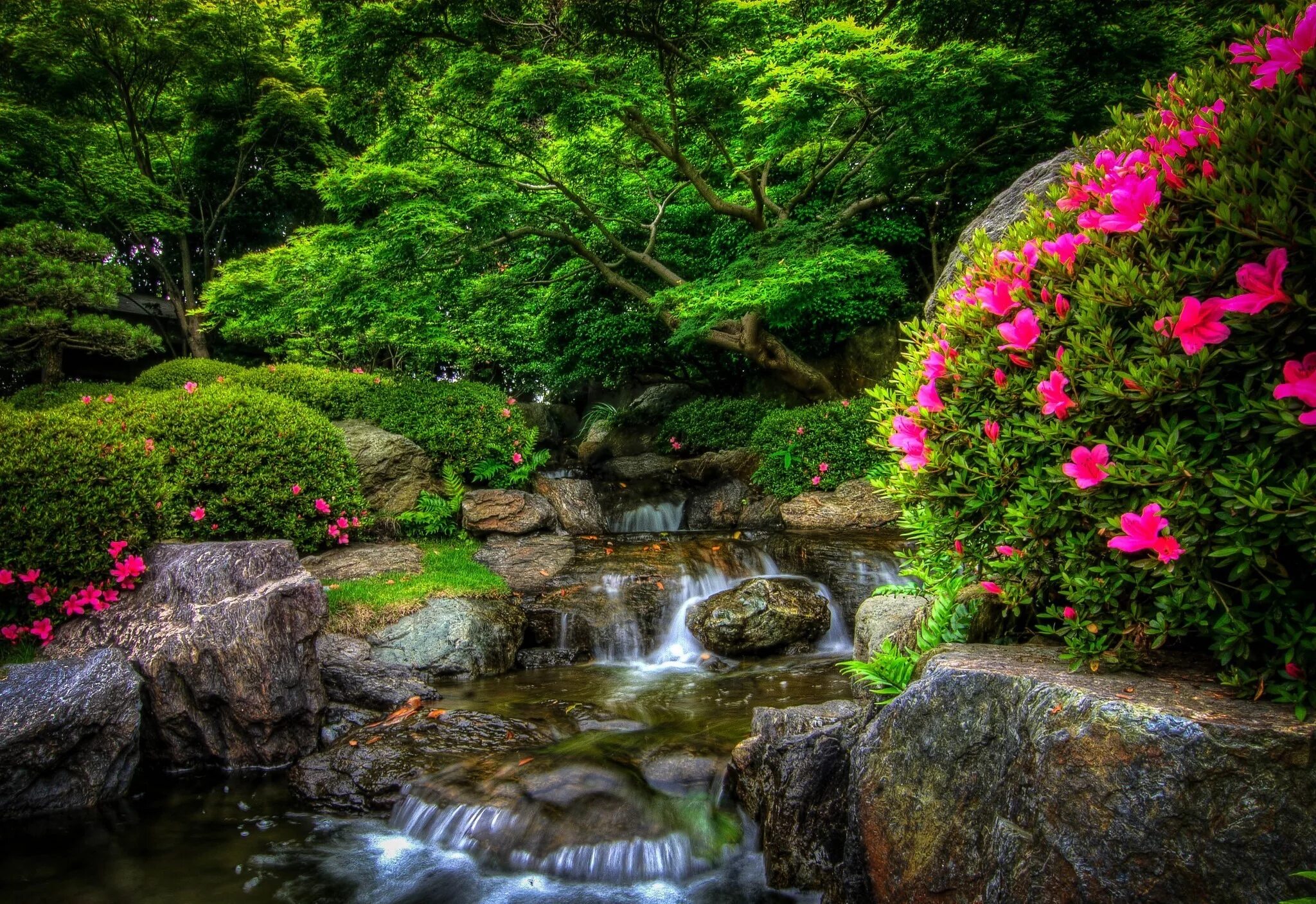 Flower nature. Красивая природа. Красивые водопады. Природа сад. Цветущие сады и водопады.