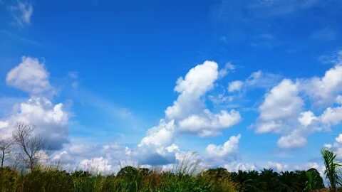 Sky 30