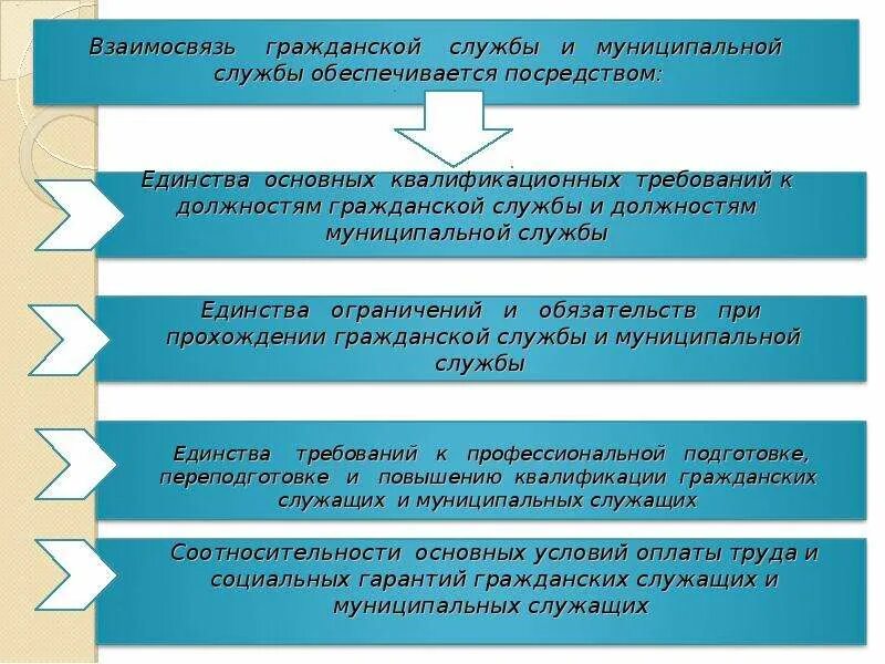 Функции государственных муниципальных служащих