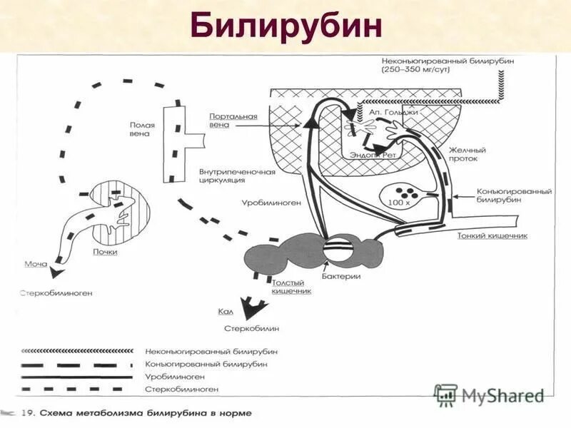 Билирубин