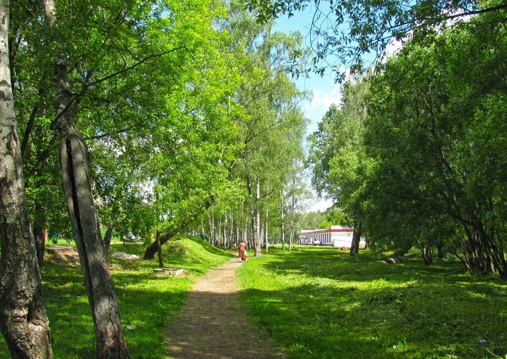 Лесной улица школьная. Парк городской лес Домодедово. Улица Лесная Видное. Ушмарский лес в Домодедово. Парк в Домодедово Ушмарский лес.