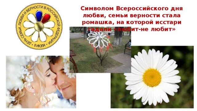 Какой цветок является символом всероссийского дня семьи. Ромашка символ семьи любви и верности. Ромашка символ семьи. Символ праздника день семьи любви и верности. Символ праздника день семьи.