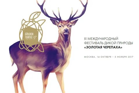 Фестиваль золотая черепаха