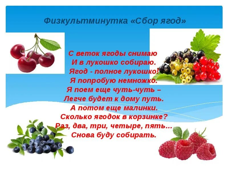 Потом ягодка начнет увеличиваться багроветь затем синеть. Физкультминутка ягоды. Ягоды картинки для детей. Стихи про ягоды. С ветки ягоды снимаю и в лукошко собираю.