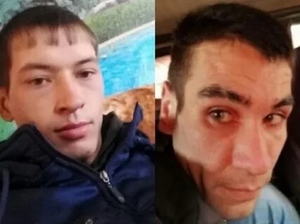 Убежала чита