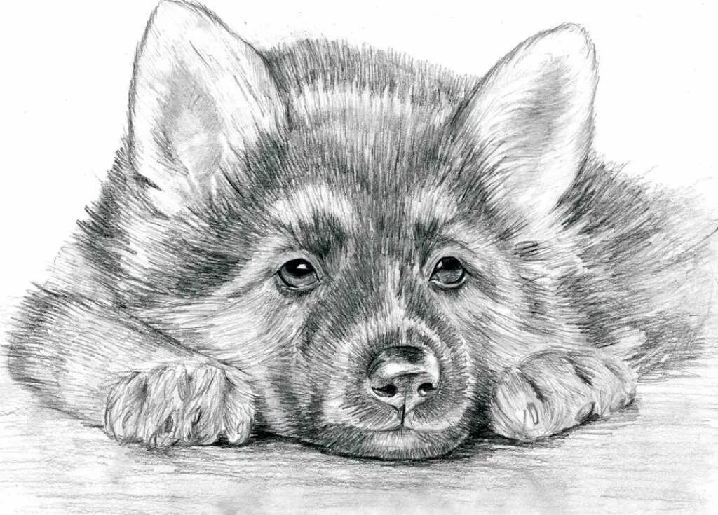 Нарисовать красивые простые рисунки