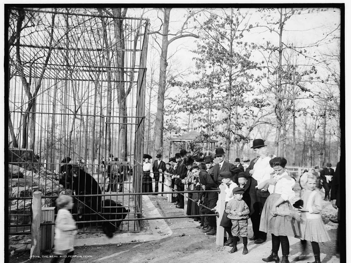 Самый 1 зоопарк. Московский зоопарк xix век. московский зоопарк в 1900 году. московский зоопарк 19 век. московский зоопарк 1864 года.
