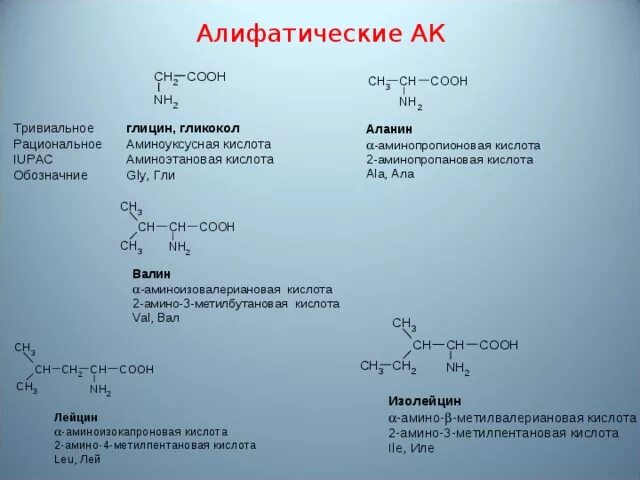 Аминобутановая кислота. Аминопропановая кислота. 2 Аминопропановая кислота и аминоуксусная кислота. Метилвалериановая кислота. 1 3 аминобутановая кислота