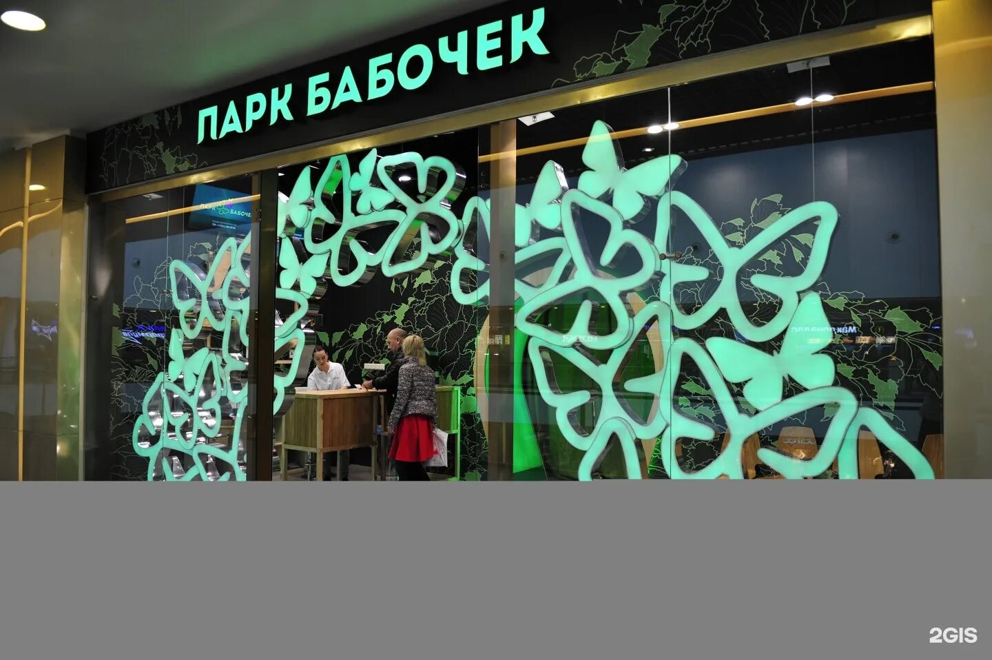, 72. Музей бабочек питерлэнд. , 72. Парк бабочек гранд каньон. Парк бабочек санкт-петербург питерлэнд.