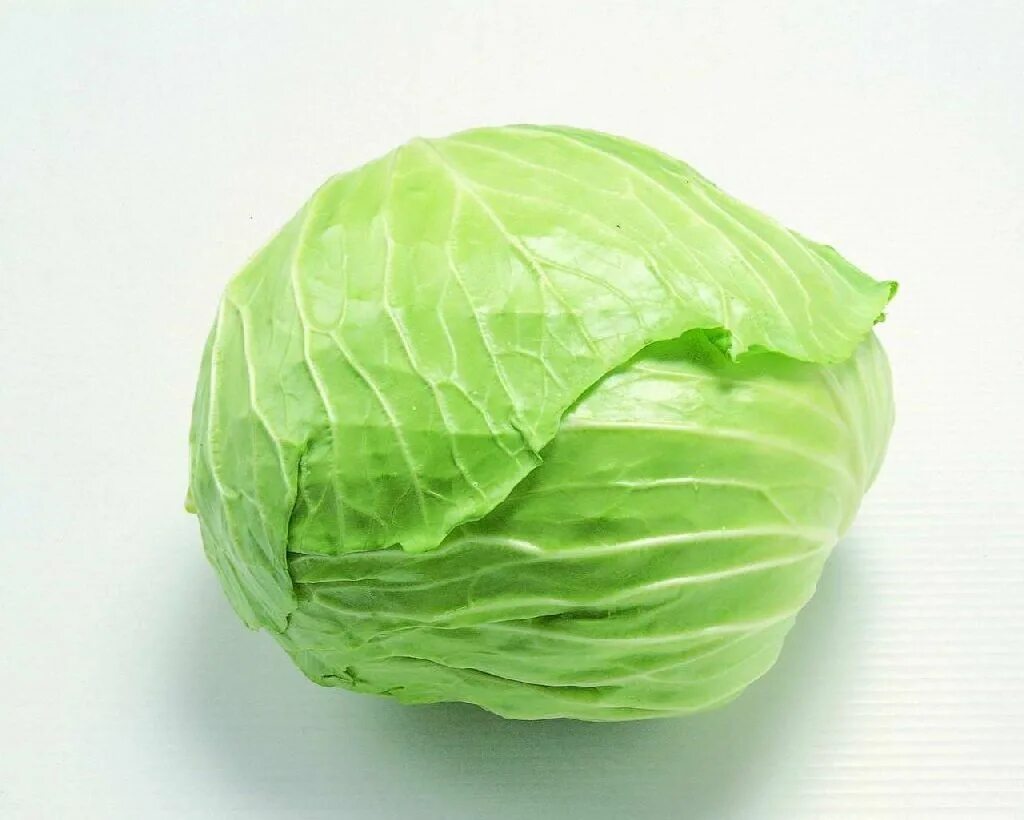 Капуста белокочанная. Капуста свежая. Капуста белокочанная. Cabbage. Нужна свежая капуста.