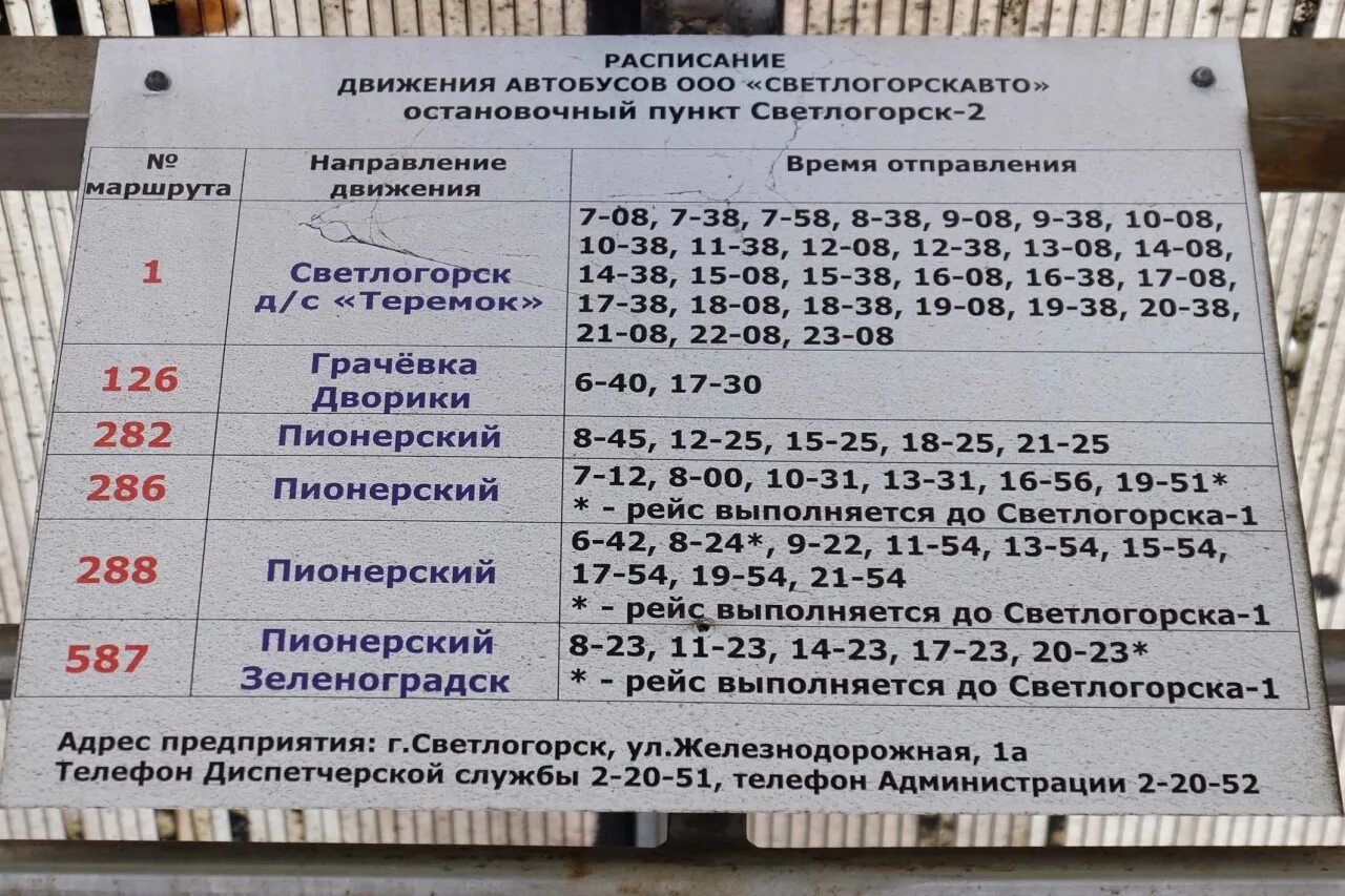 587 автобус расписание балтийск зеленоградск. Расписание автобусов Светлогорск Янтарный. Расписание автобусов Пионерский Светлогорск. Зеленоградск Светлогорск автобус 587. Расписание автобусов Светлогорск Калининград.