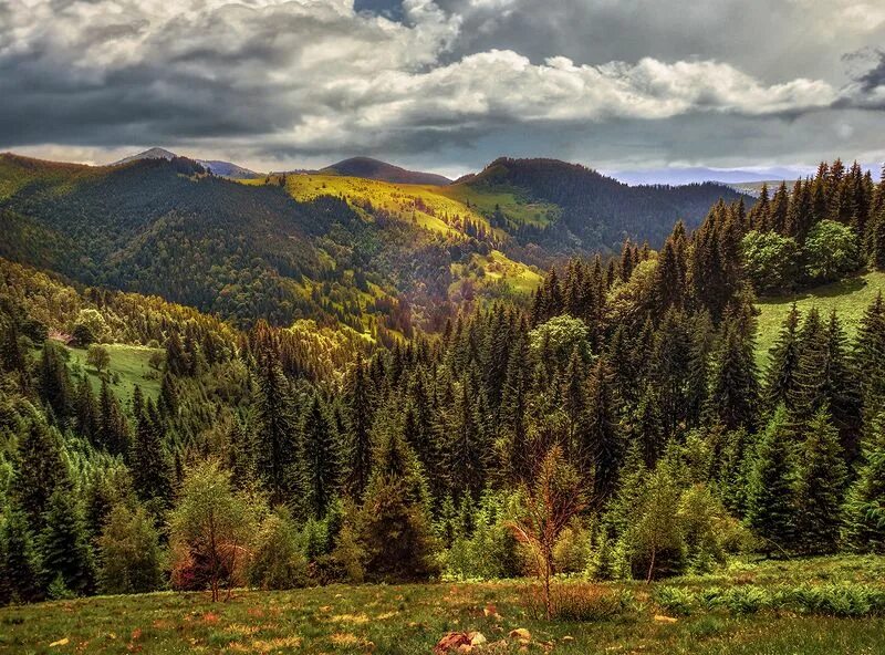 судеты татры карпаты. западная украина карпаты. сходница карпаты. горы в карпатах. горы карпаты украина.